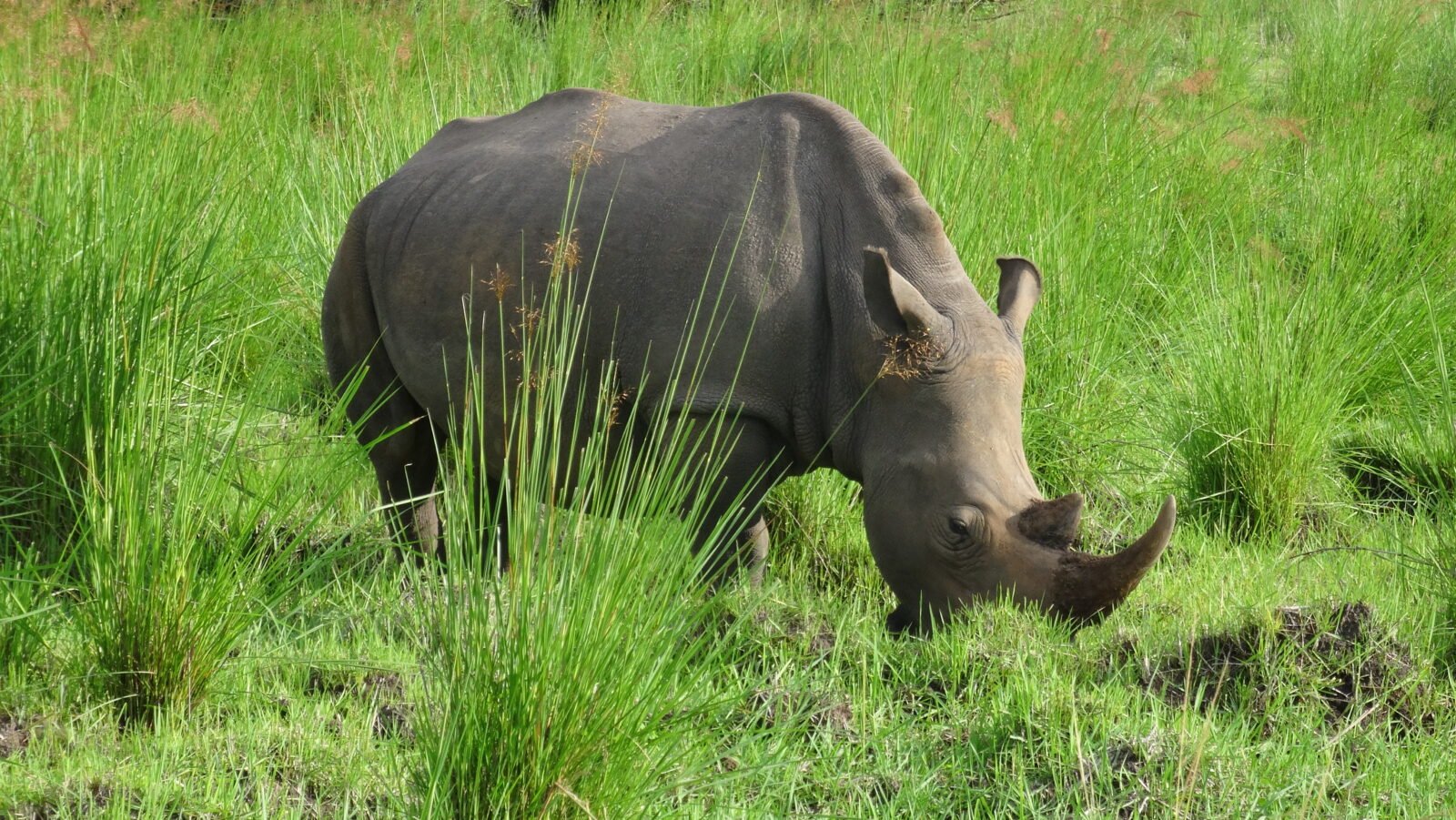 Adventure Uganda Safari