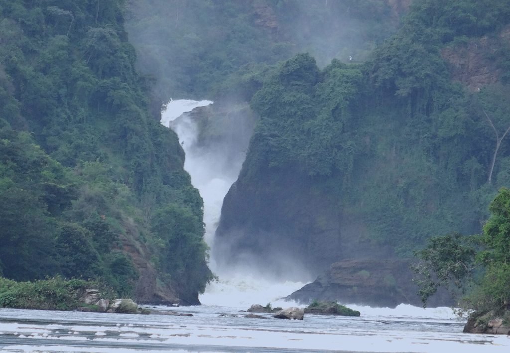 Short Uganda Safaris