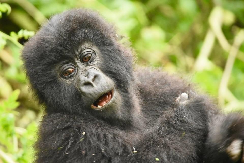 Best Season to Visit Rwanda
