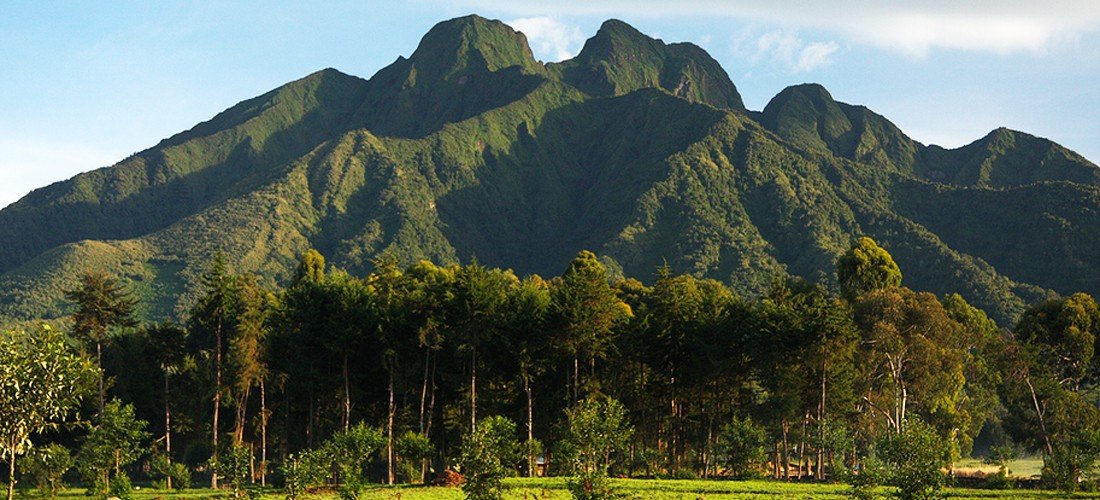 gorilla trekking season in Rwanda