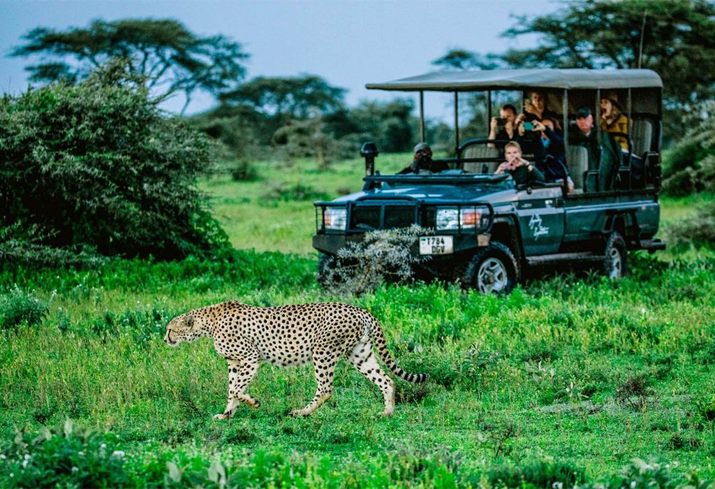 10-Day East Africa Safari Adventure