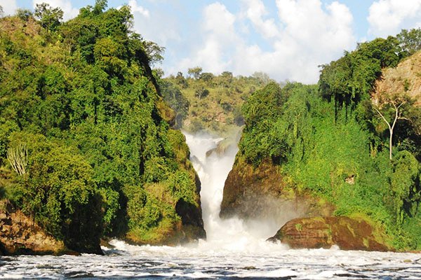 Gorilla Trekking and Murchison Falls Safari
