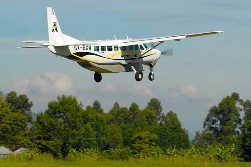 Fly-In Gorilla Trekking Safaris in Uganda