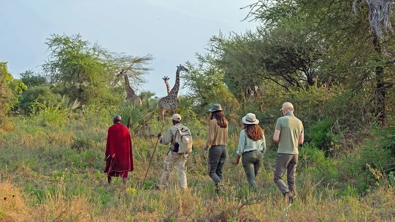 how-safaris-connect-travelers-with-nature
