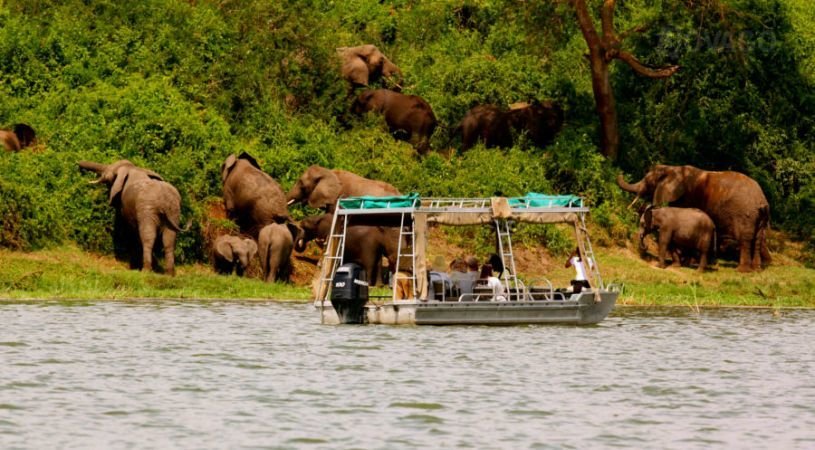 Best Safari Activities in Uganda