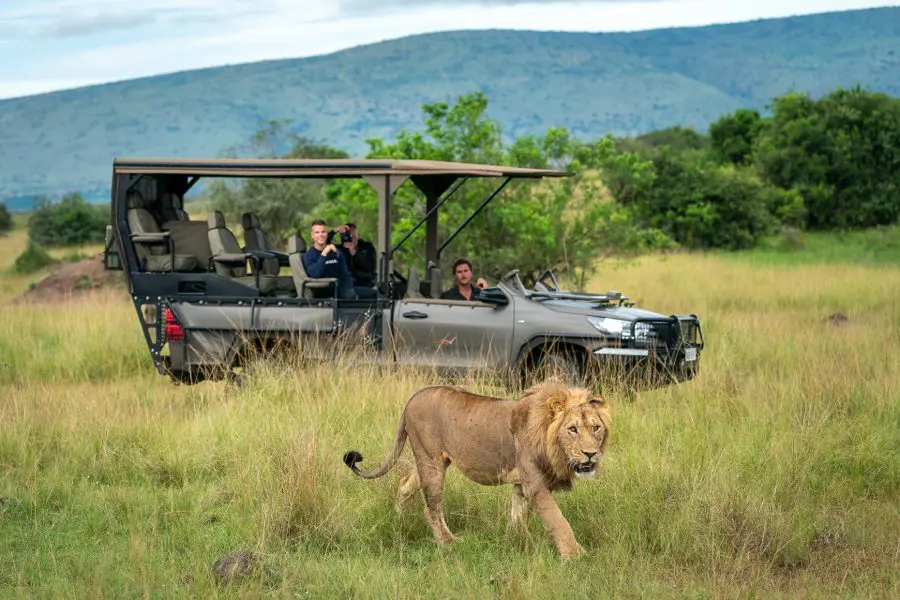 Rwanda Safari Cost Guide