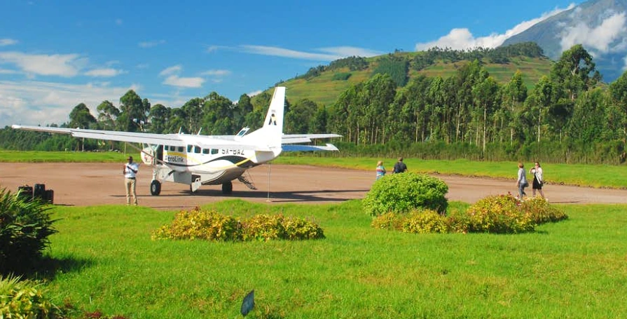 Best Airports for Gorilla Trekking Tours