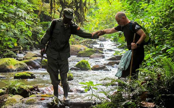 Gorilla Trekking Fitness Tips for Travelers