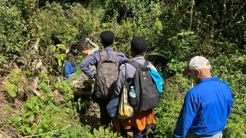 best-forest-adventures-in-east-africa