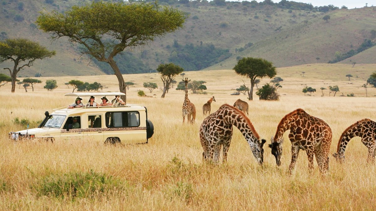 Affordable Safari Tours in East Africa