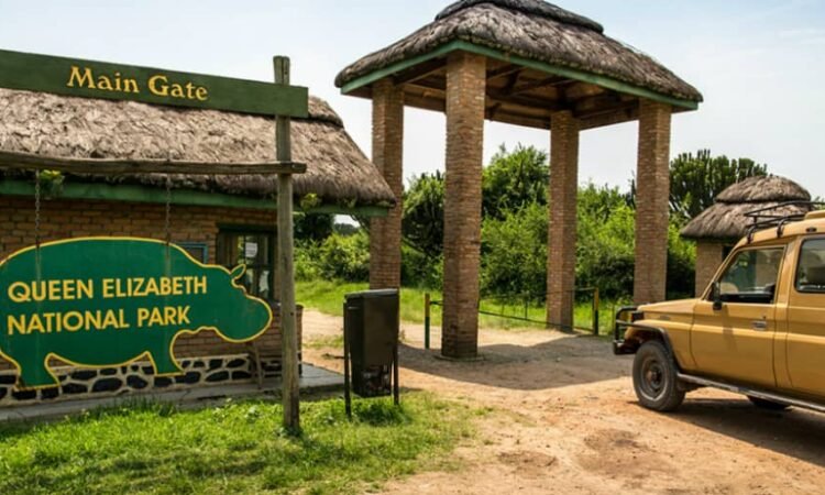 queen elizabeth national park safari guide