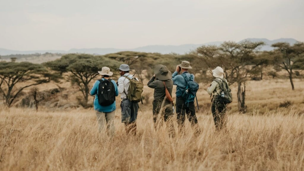 Wildlife Encounters Every Tourist Should Experience