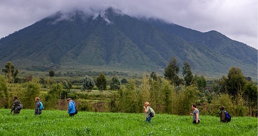 Nature Walks in Volcanoes National Park