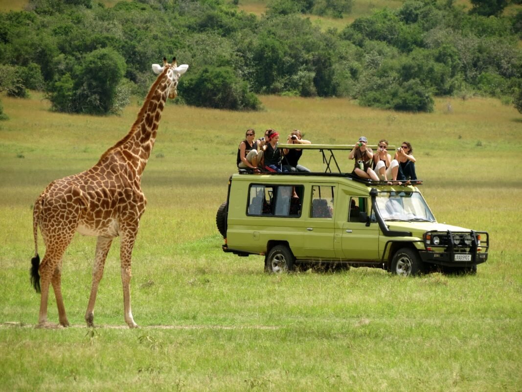 Uganda Wildlife Safari Packages