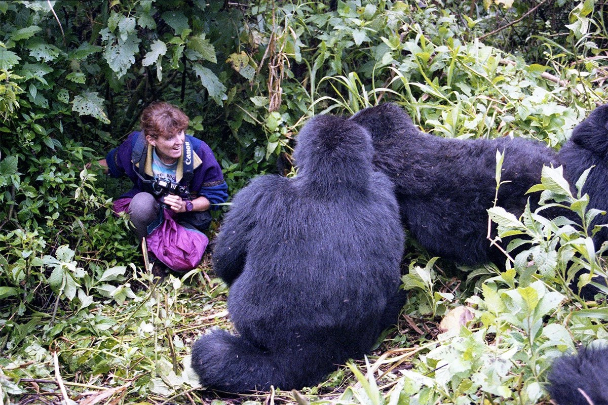 Gorilla Trekking Health Requirements