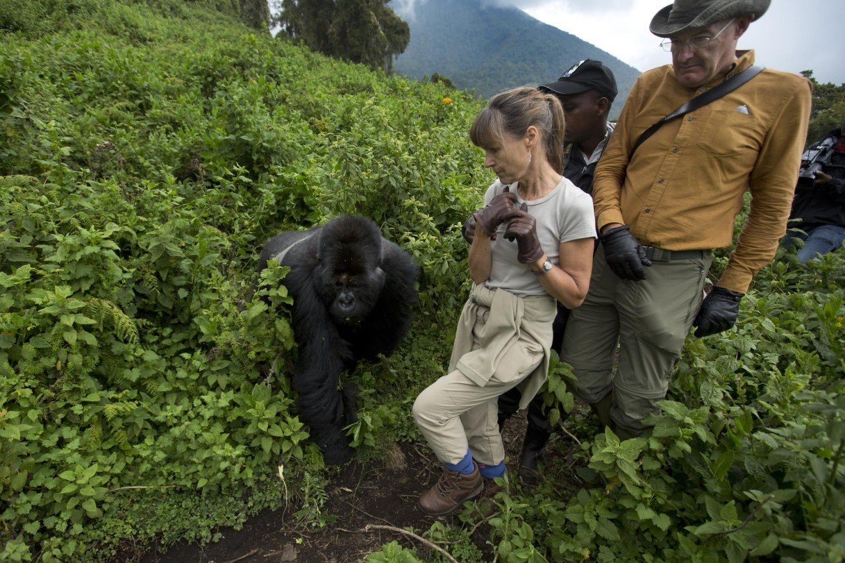 Gorilla Trekking Checklist for Travelers
