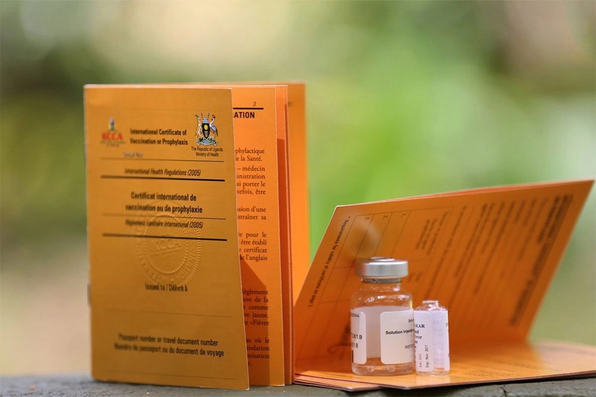 Yellow Fever Vaccine for Uganda Safaris