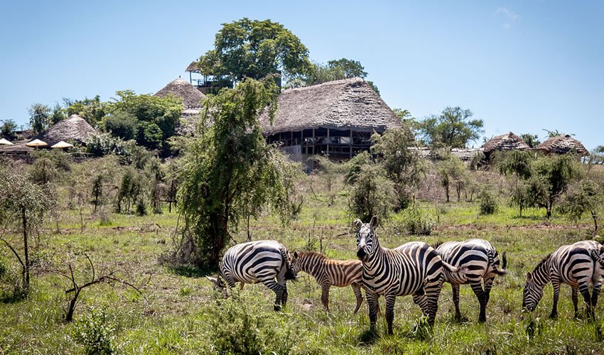 kidepo-valley-national-park-safari-experiences