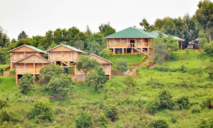 Affordable Gorilla Safari Accommodation in Uganda