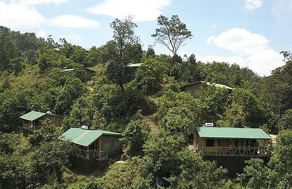 Best Eco Lodges Near Gorilla Parks