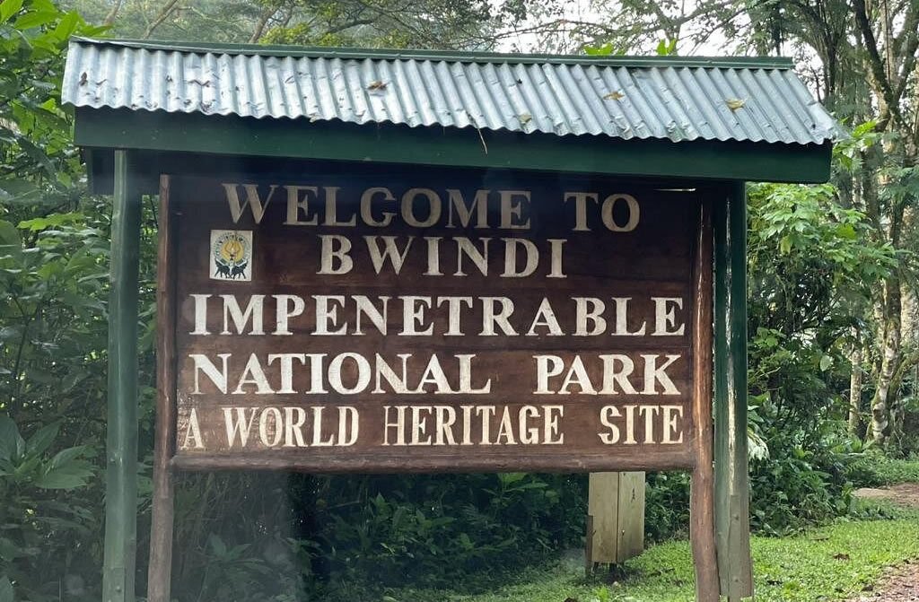 Why Bwindi Is a UNESCO World Heritage Site