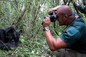 Best Camera for Gorilla Photography