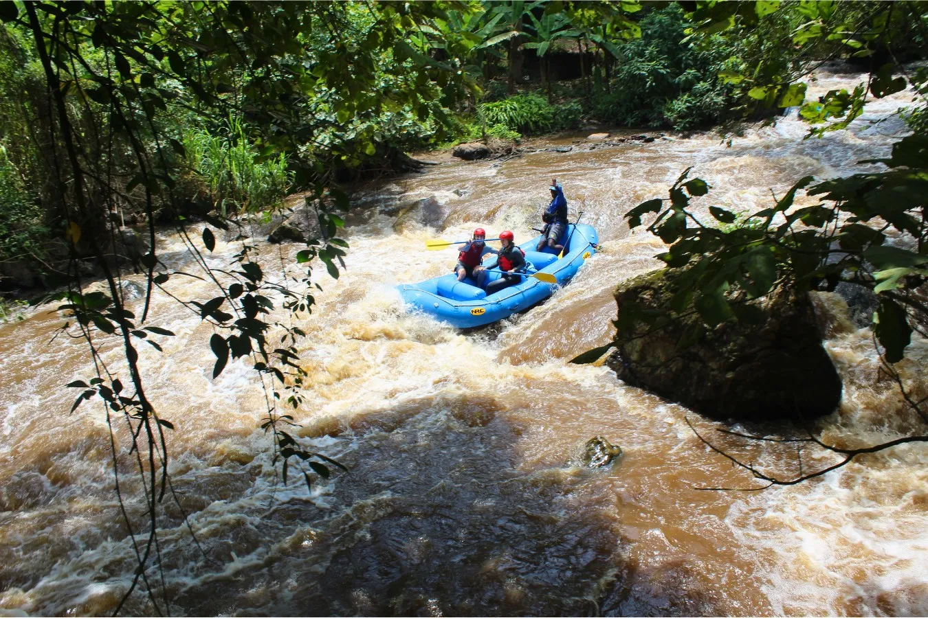 Best Jungle Adventures in Uganda
