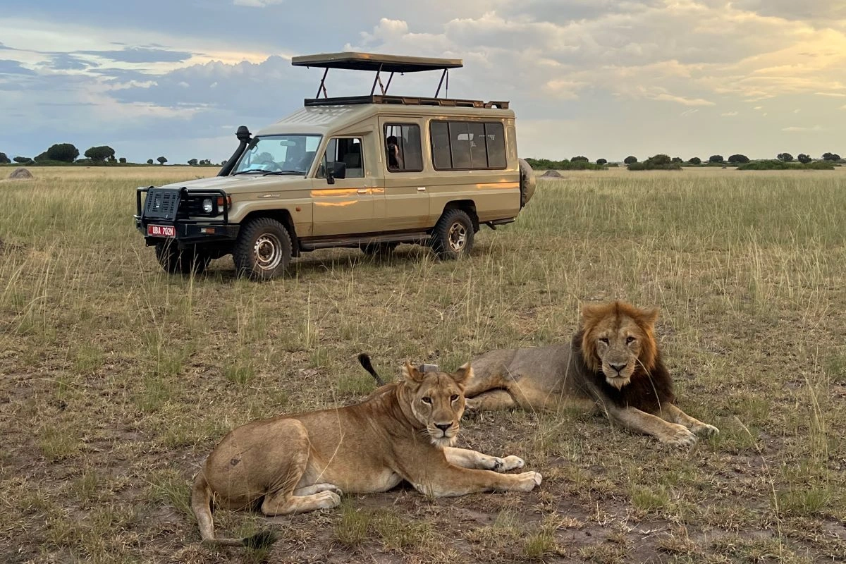 Uganda Safari Booking Tips