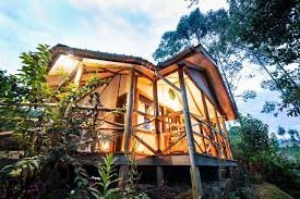 Best Gorilla Trekking Lodges in Bwindi