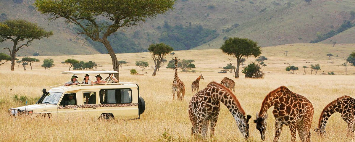 Best East Africa Safari Destinations